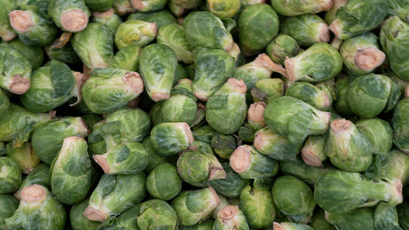 MHR 373 brusselsprouts